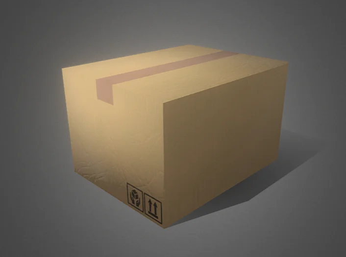 Cardboard Model