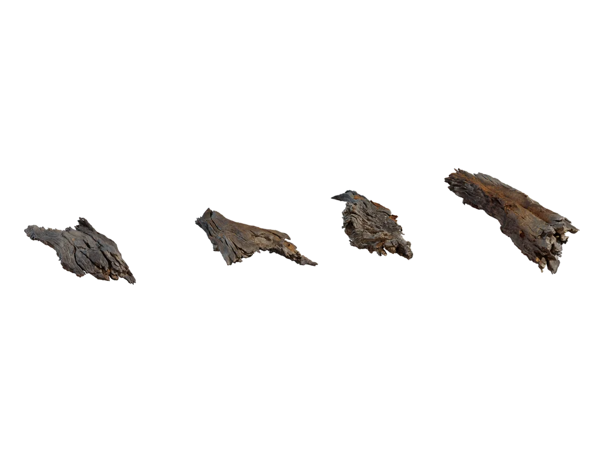 Bark Debris