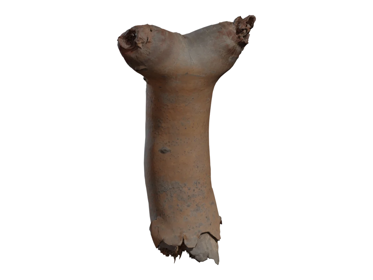 Dead Quiver Branch 02