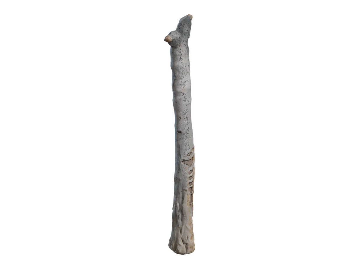 Dead Quiver Trunk