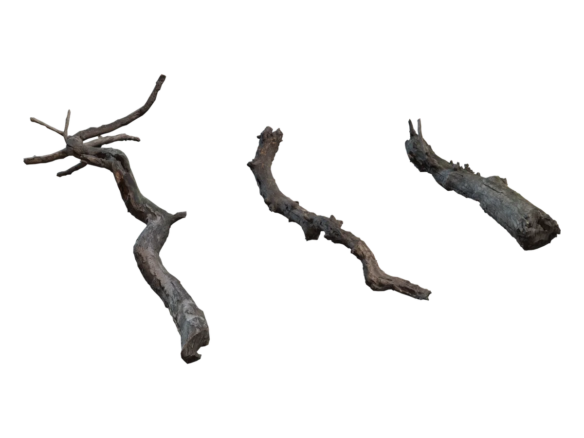Dry Branches Medium 01