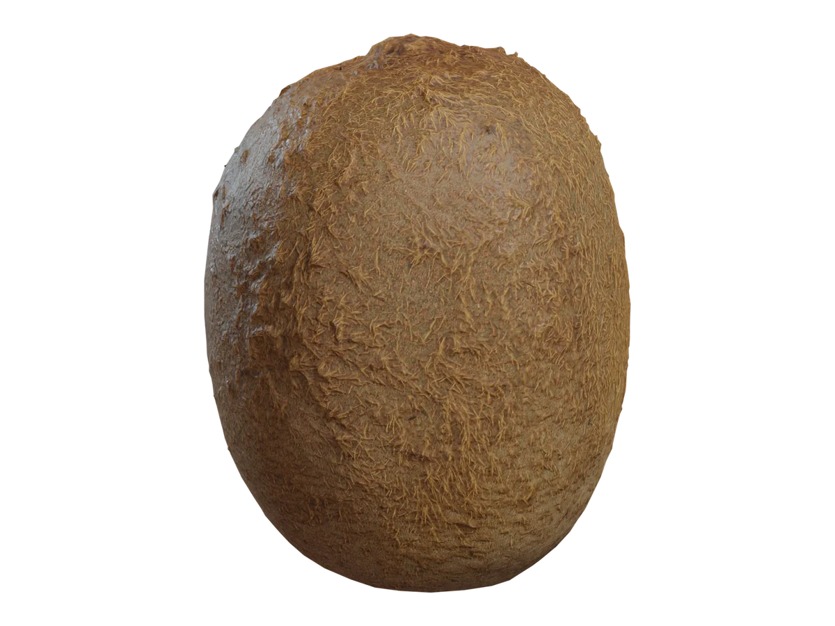 Food Kiwi 01