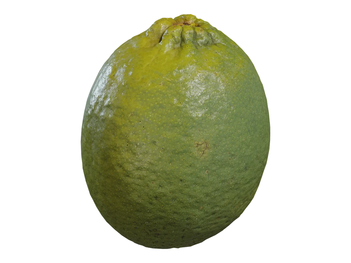 Food Lime 01