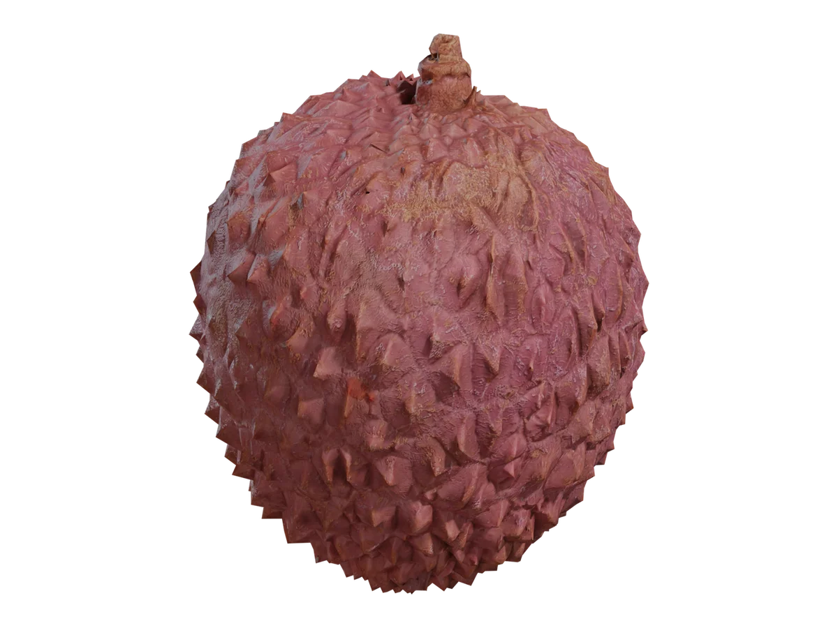 Food Lychee 01