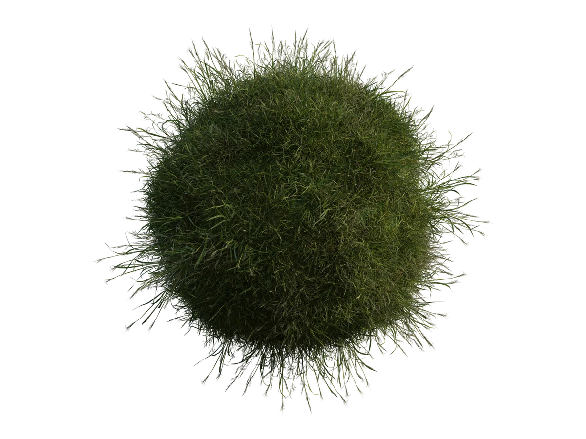 Grass Medium 01