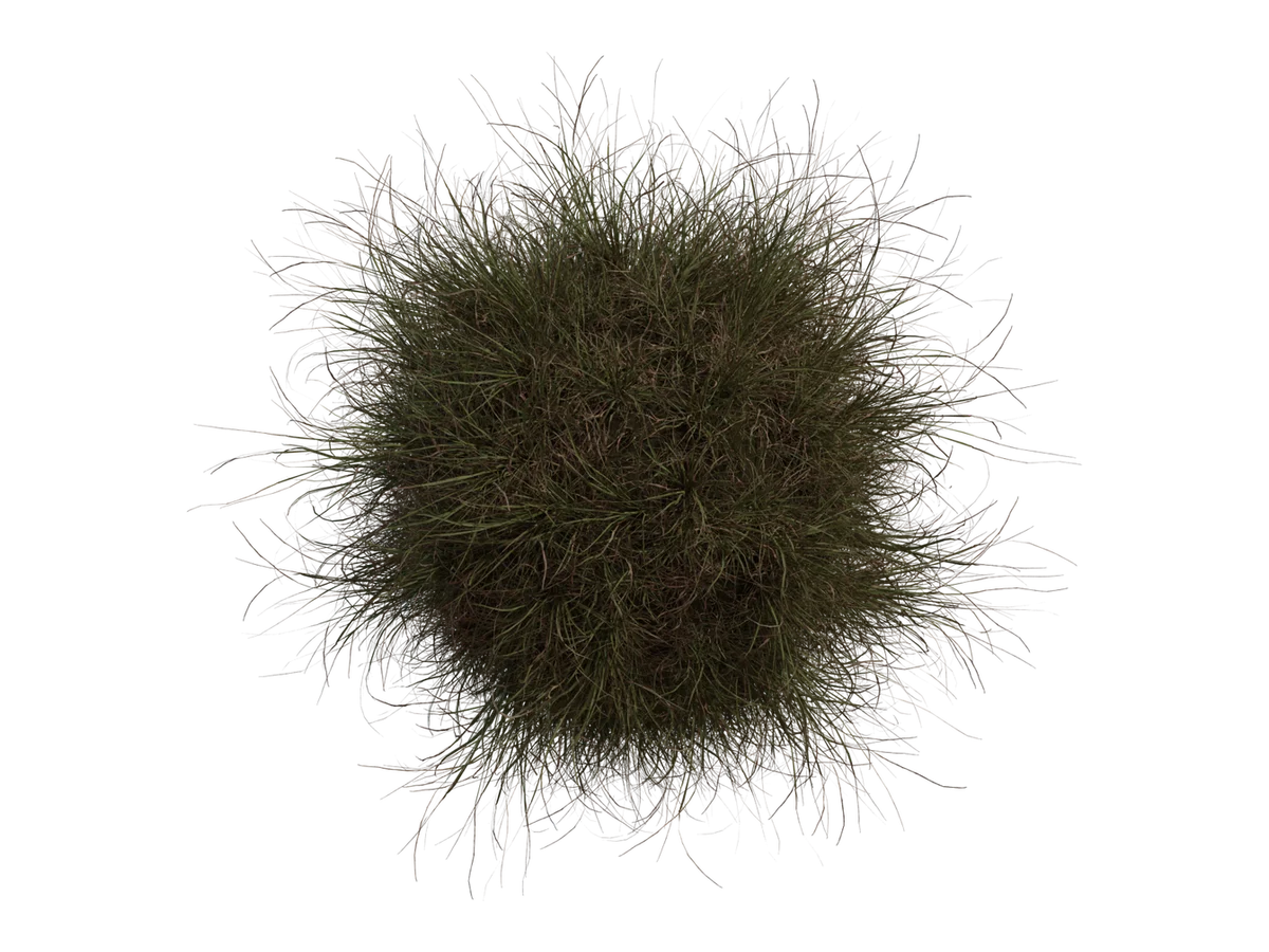 Grass Medium 02