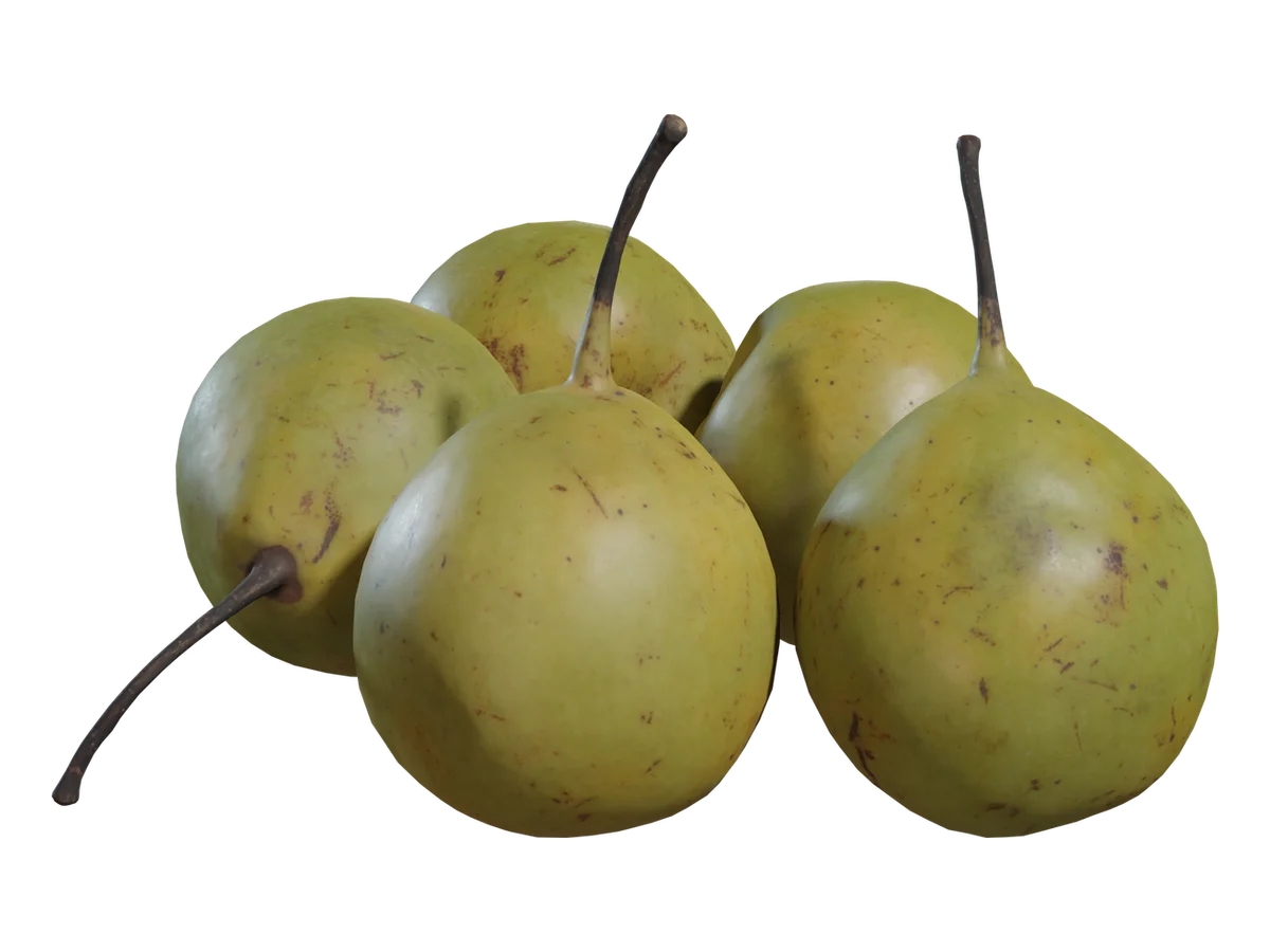 Pears Asian 01