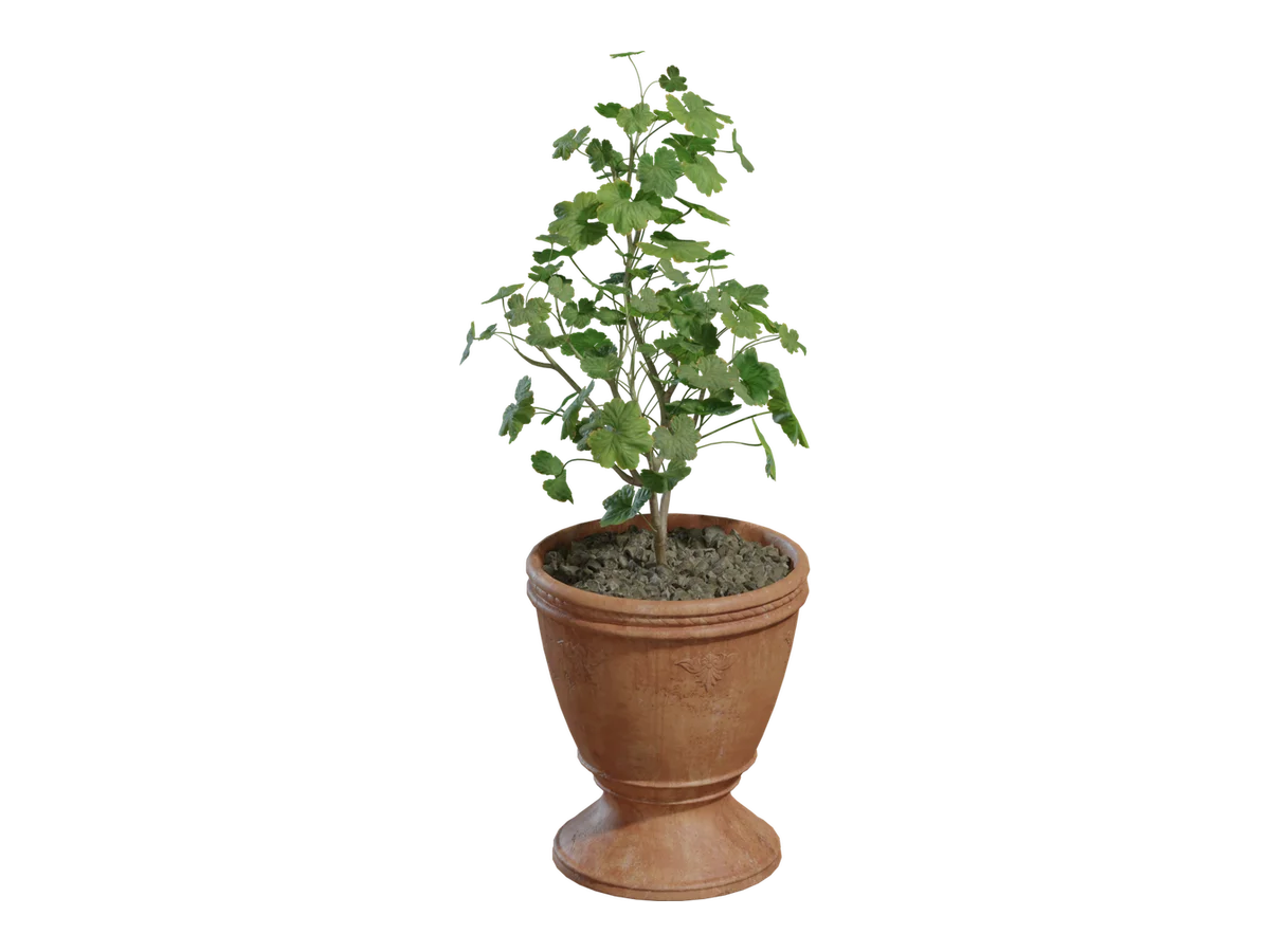Potted Plant 01