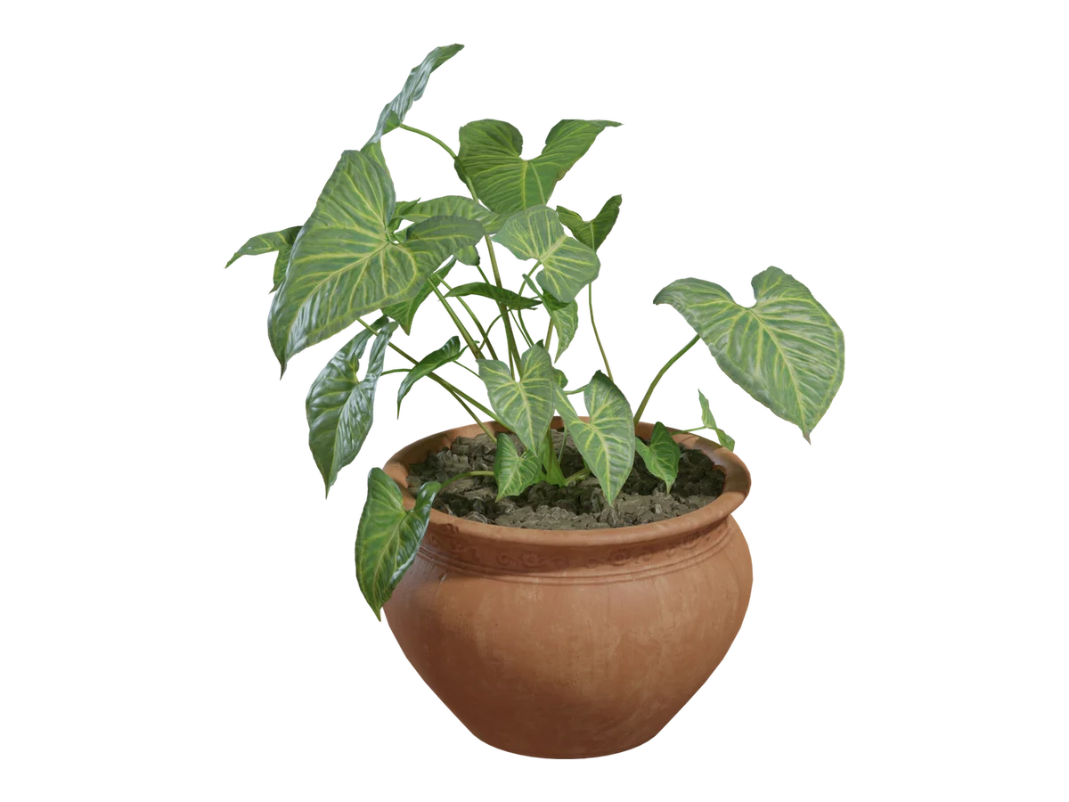 Potted Plant 02