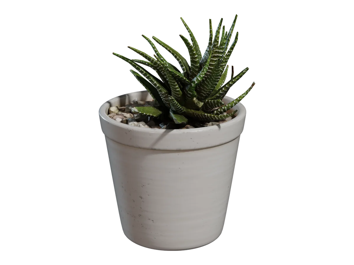 Potted Plant 04