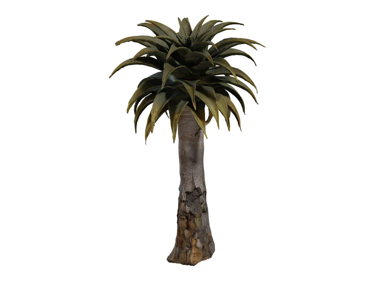 Quiver Tree 02