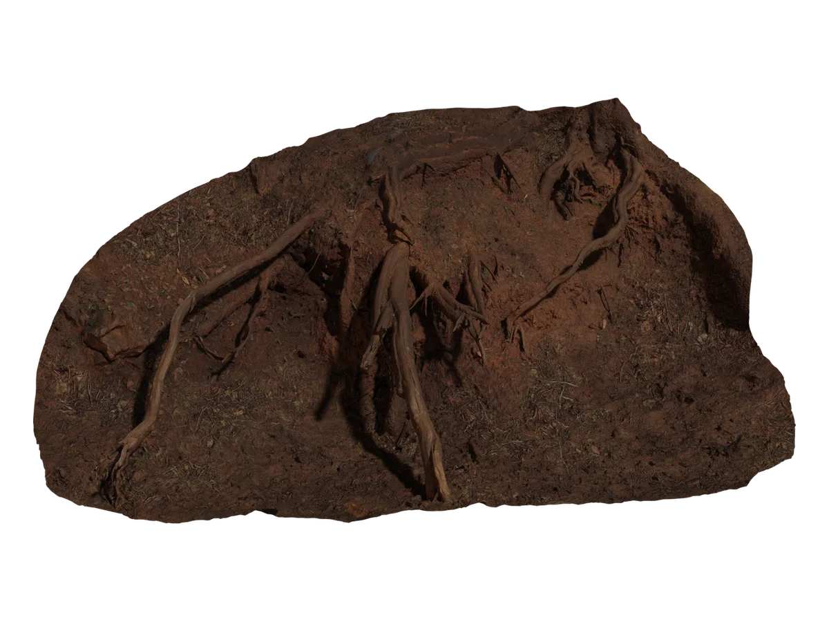 Root Cluster 01