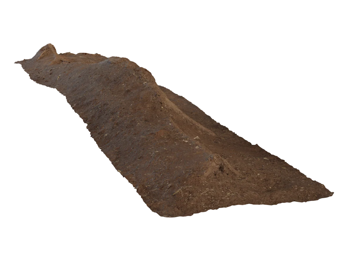 Single Root
