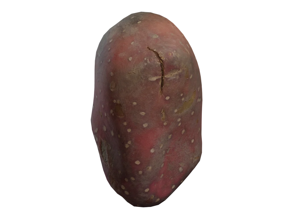 Sweet Potato