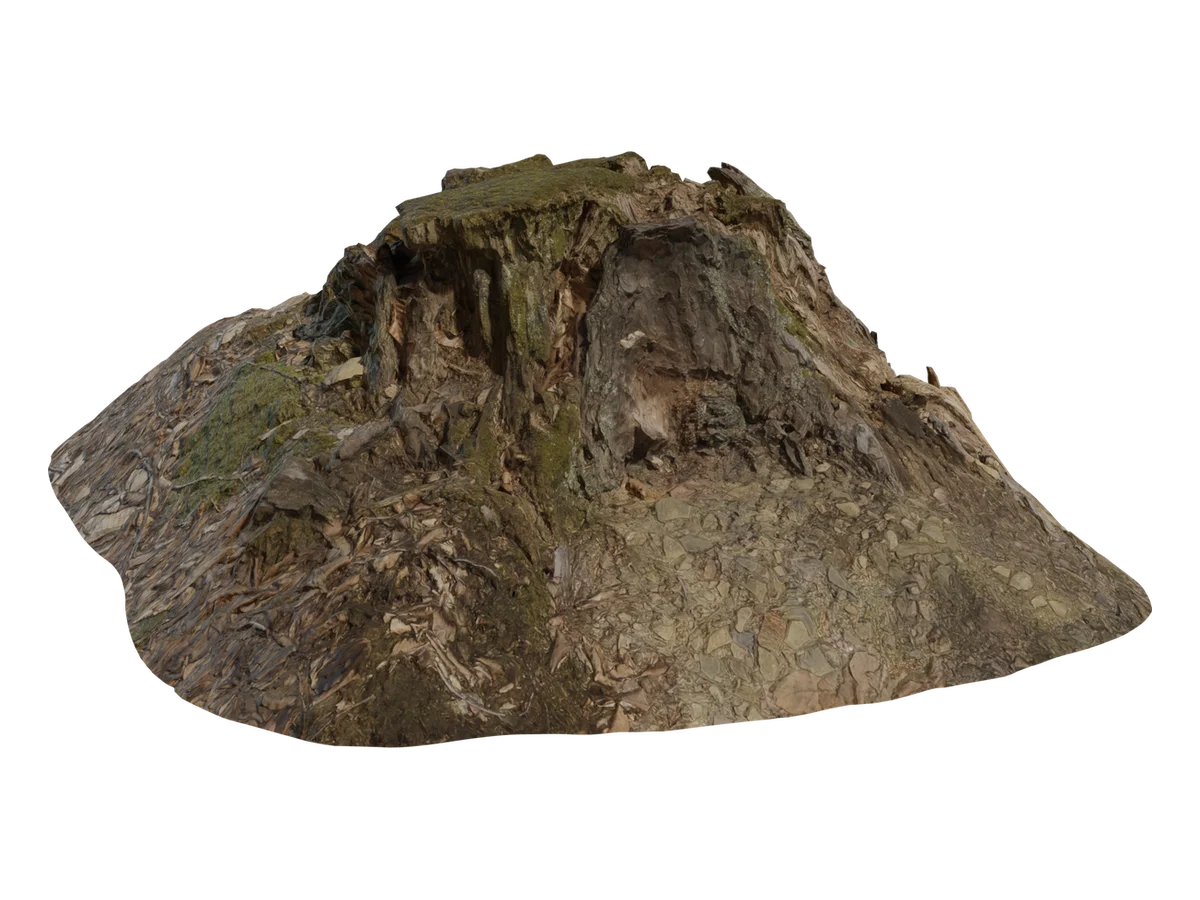 Tree Stump 01