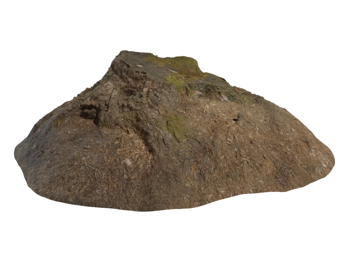 Tree Stump 02