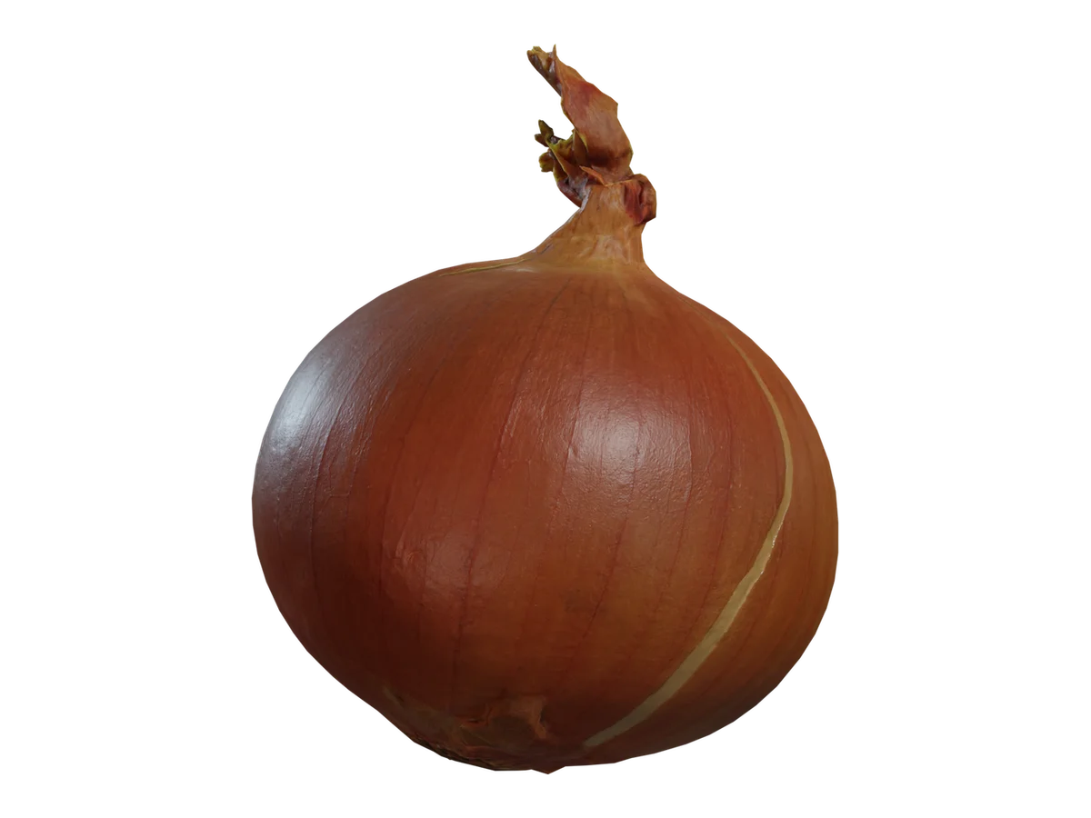 Yellow Onion